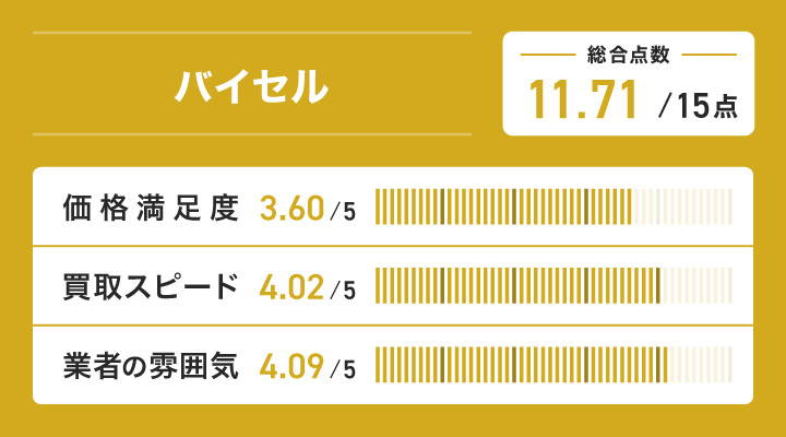 バイセルのレーダーチャート