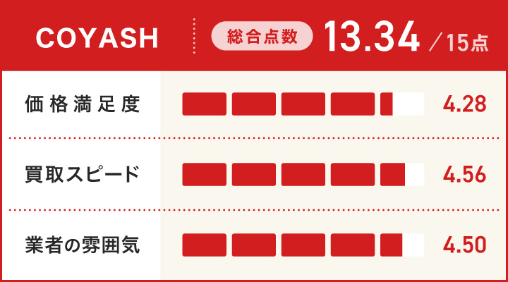 コヤッシュのレーダーチャート