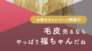 福ちゃん毛皮買取