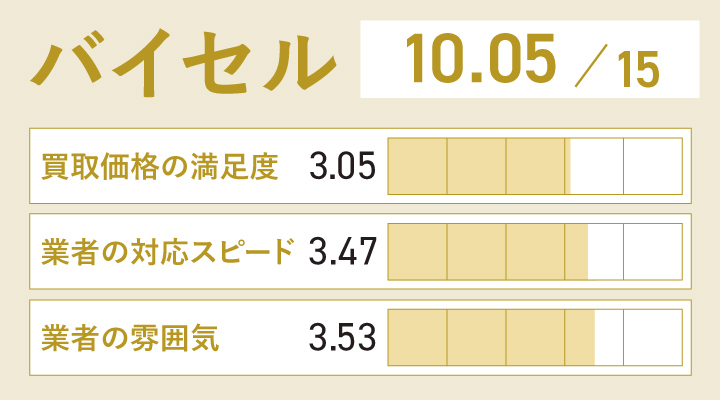 バイセルのレーダーチャート