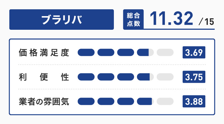 ブラリバレーダーチャート