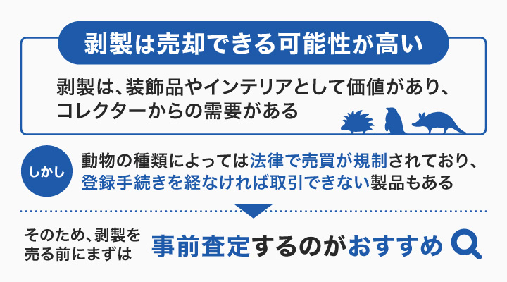 剥製は売れる？